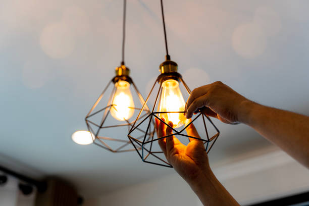 Best Industrial Electrical Services  in Hainesvle, IL