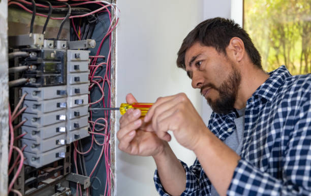 Best Affordable Electrician  in Hainesvle, IL